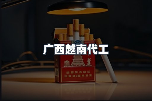 广西越南代工